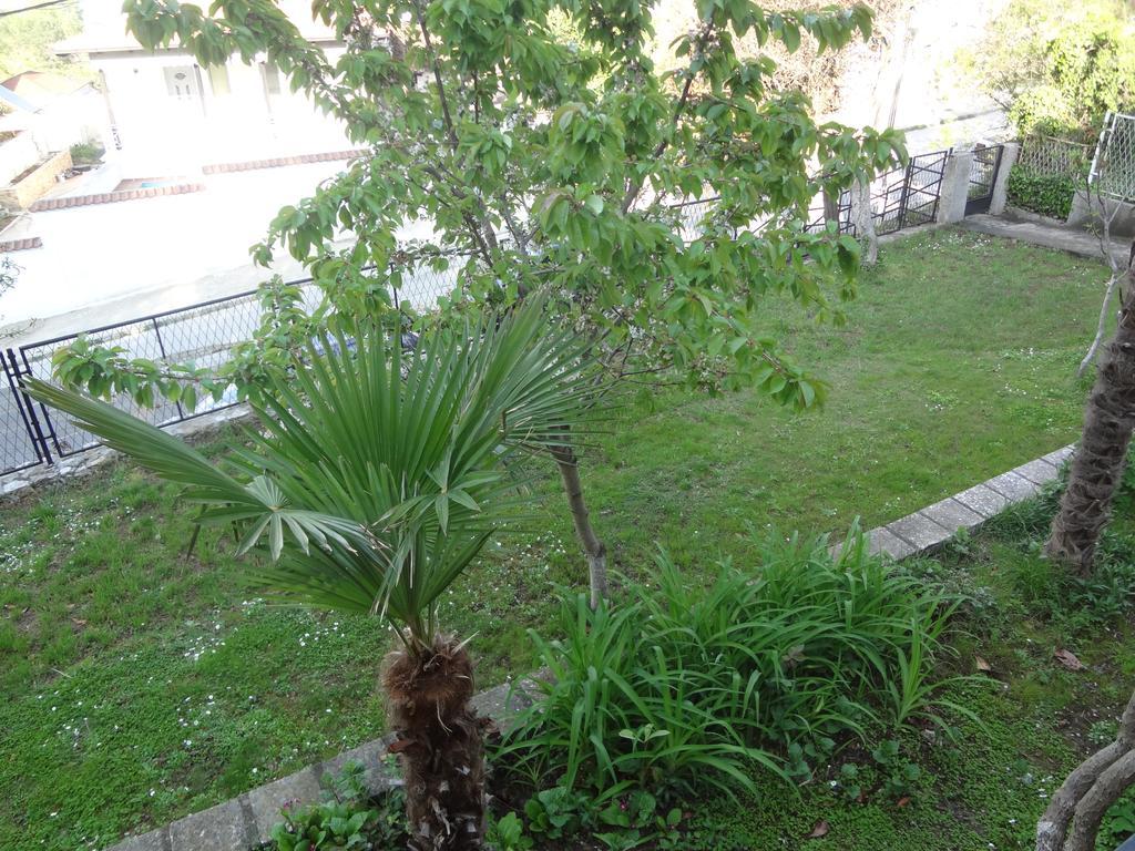 64 * Dojran